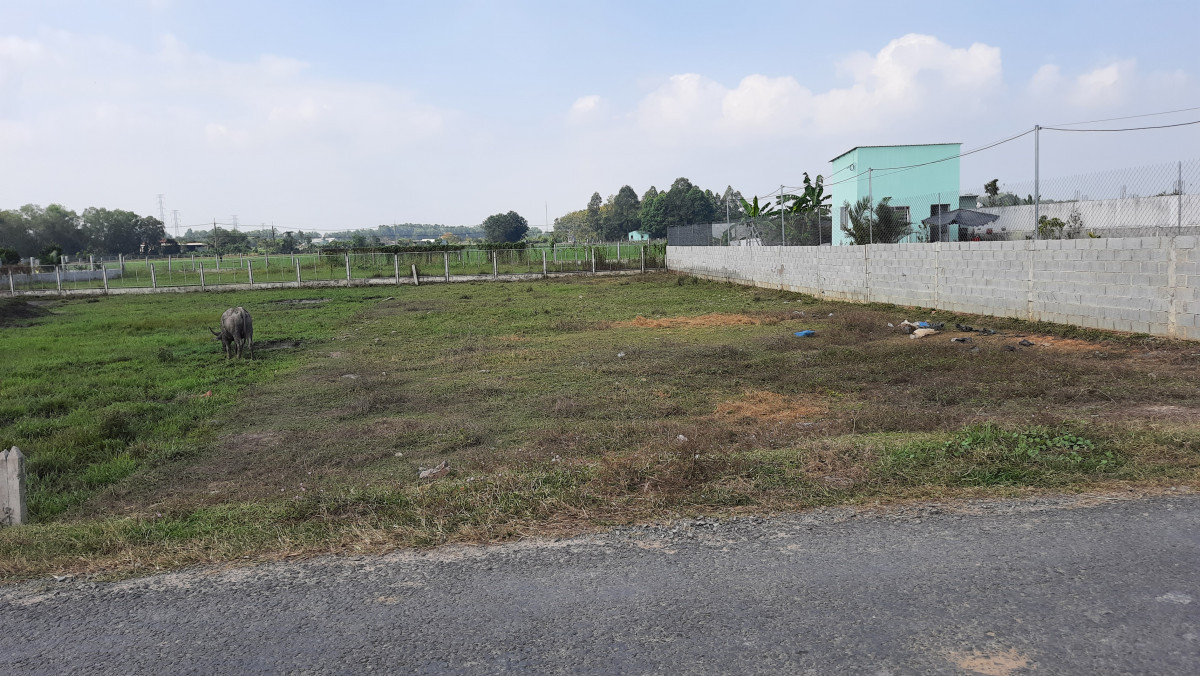 Đất mặt tiền rộng 15m Đất mặt tiền rộng 15m