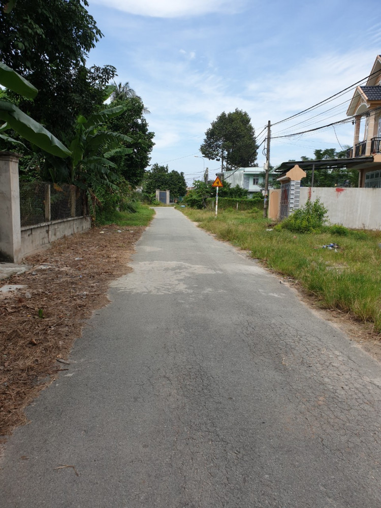 Đường nhựa thông Đường nhựa thông